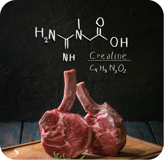 Creatine – What’s the Deal?